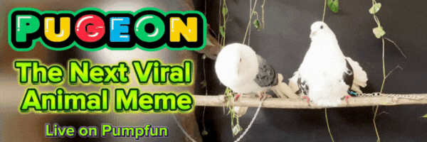 Pigeon Banner